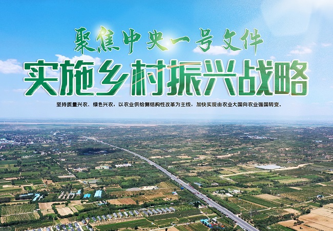 【中央一號文件】中央一號文件智慧農業相關信息解讀！