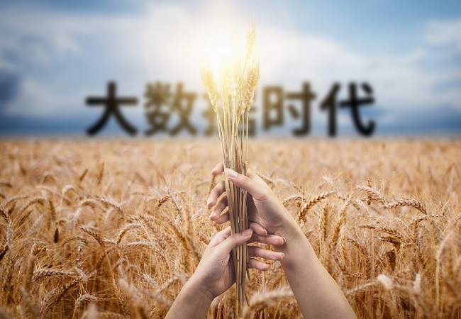 大數據廣泛應用于智慧農業(yè)領域