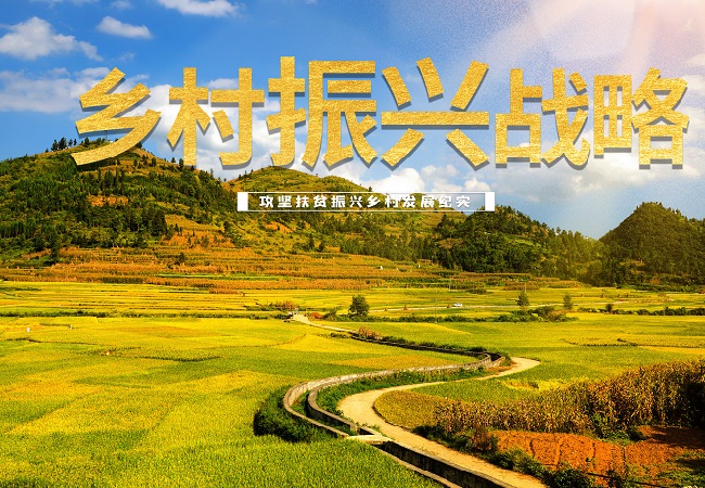 政策解讀：2023年數字鄉村發展工作要點